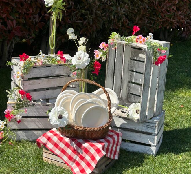 pic nic.jpg 2